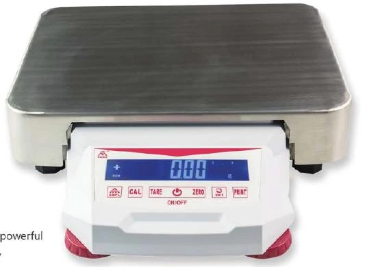 Modelo EXG300001 Balanza de LABORATORIO
