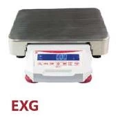 Modelo EXG300001 Balanza de LABORATORIO